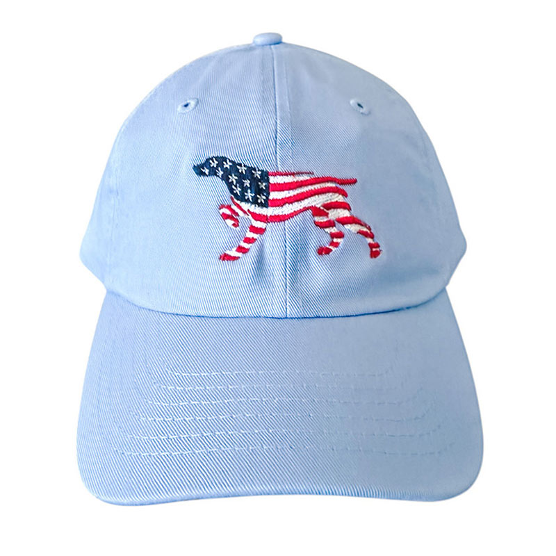 Patriotic youth hat